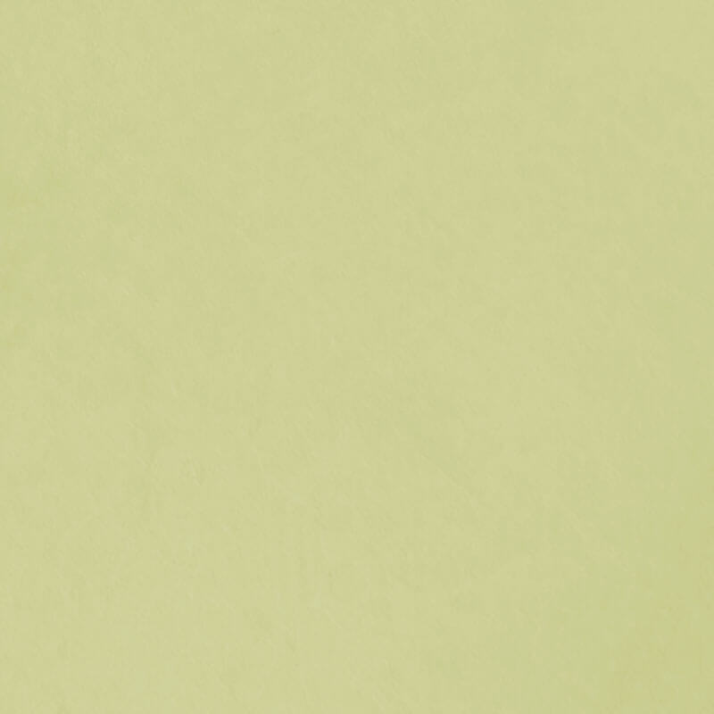 Conteco ONE Dekorativ Spartelmasse Lime 2,5kg