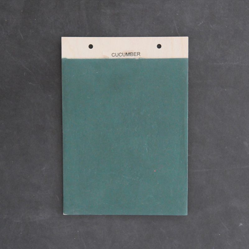 Fácil indfarvet sandspartel Cucumber (Grøn) inkl. 1 liter finish