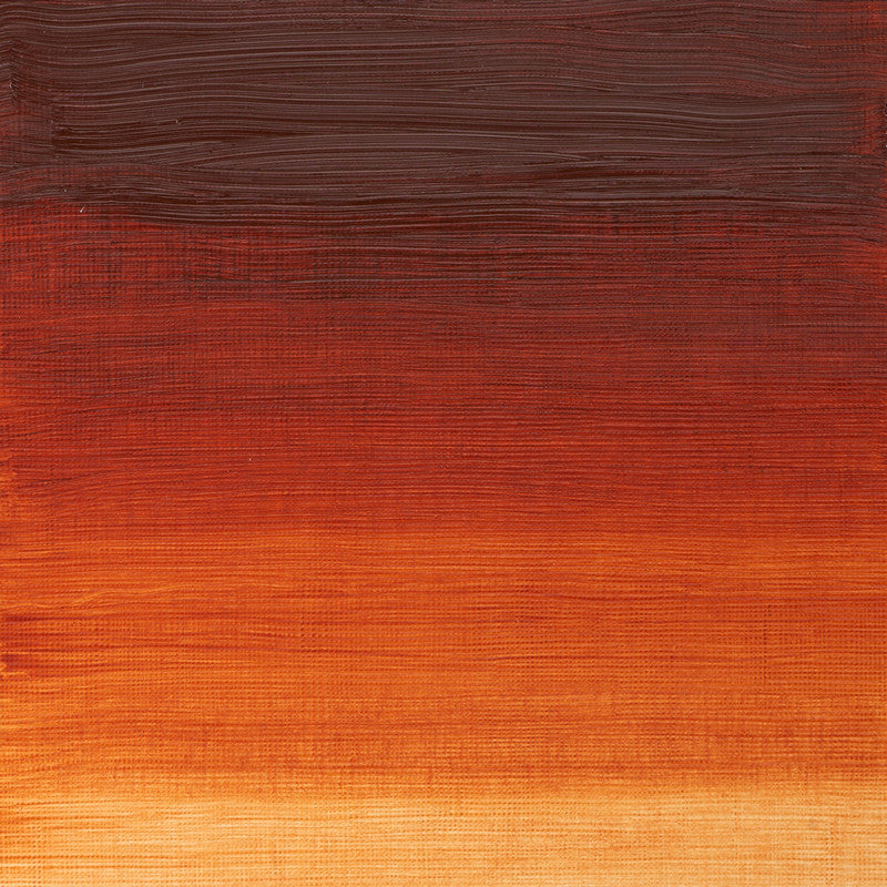 Winsor & Newton Winton Burnt Sienna Oliefarve 074 37 ml