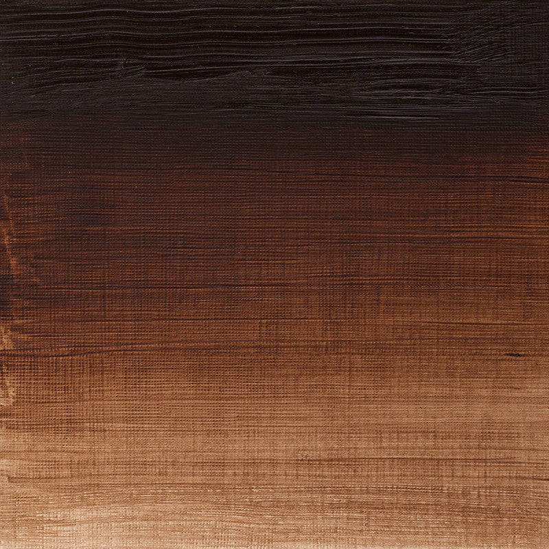 Winsor & Newton Winton Burnt Umber Oliefarve 076 37 ml