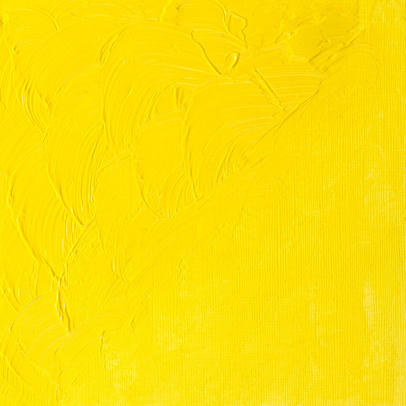 Winsor & Newton Winton Cadmium Lemon Hue Oliefarve 087 37 ml