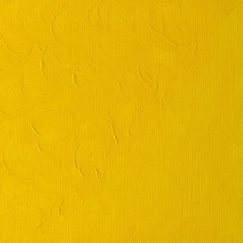 Winsor & Newton Winton Cadmium Yellow Pale Hue Oliefarve 119 37 ml