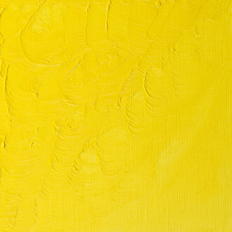 Winsor & Newton Winton Lemon Yellow Hue Oliefarve 346 37 ml