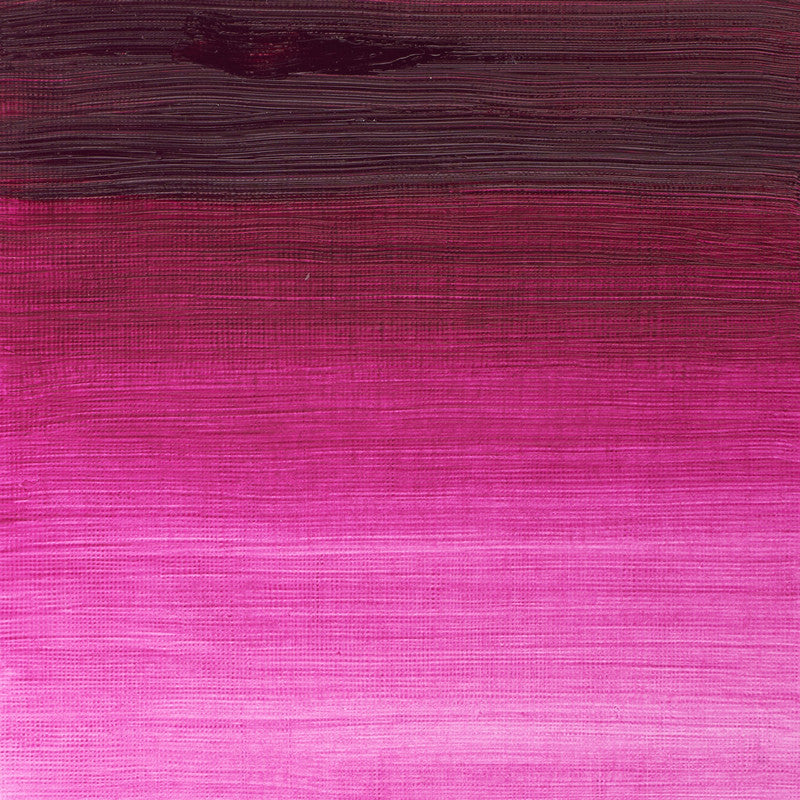 Winsor & Newton Winton Magenta Oliefarve 380 37 ml