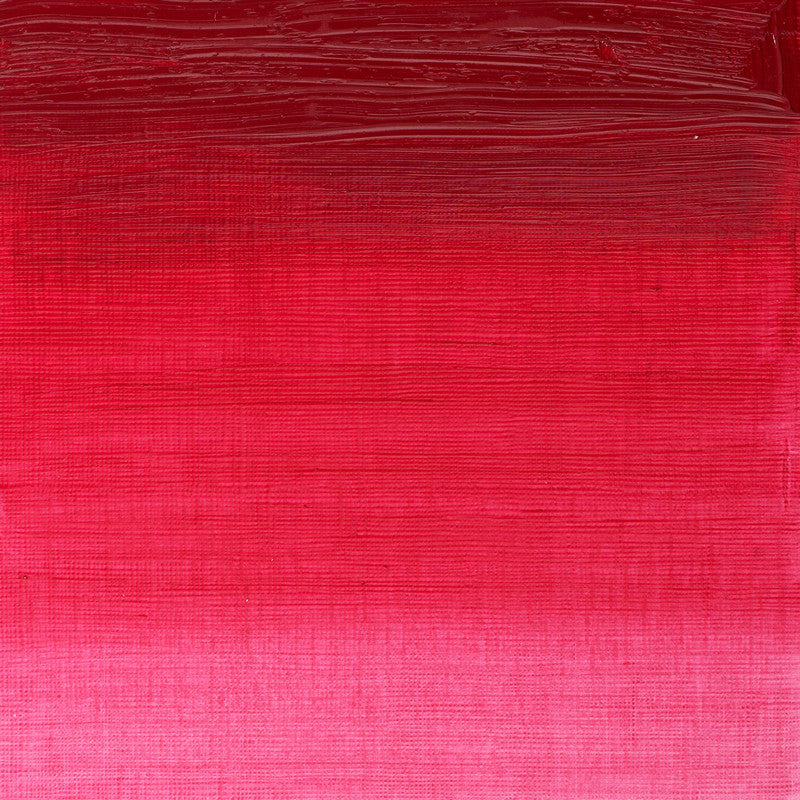 Winsor & Newton Winton Permanent Rose Oliefarve 502 37 ml
